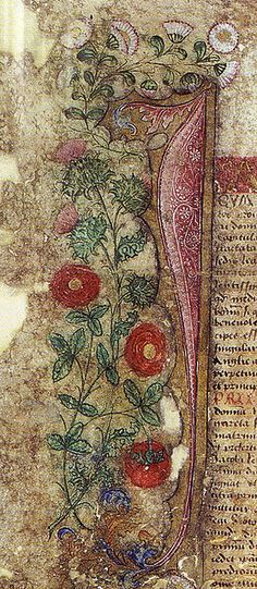 A-detail-from-the-Treaty-of-Perpetual-Peace-showing-James-thistle-and-Margarets-red-rose